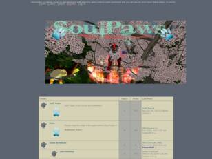 SoulPaws|IT server