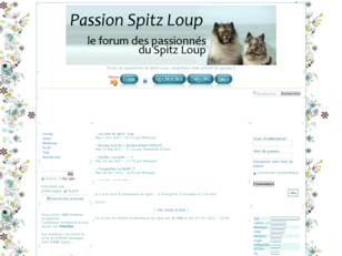 Le spitz-loup