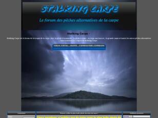 stalking carpe forum