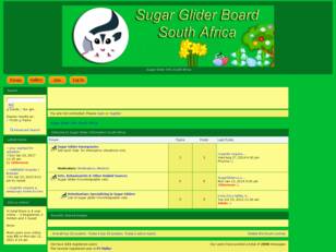 Sugar Glider Info South Africa