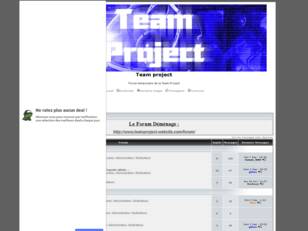 Team project