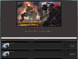 Les Soldats Nationals Français [SNF*]