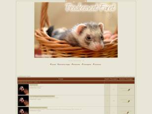 Tendrement-Furet