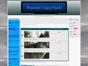 Thunder Coast Pack