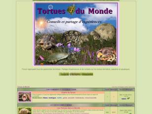 FORUM Tortues du Monde