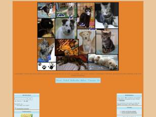 creer un forum : Touche pas à mes pattes