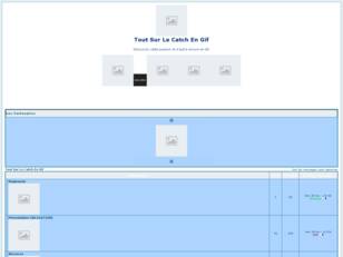 Tout Sur Le Catch En Gif