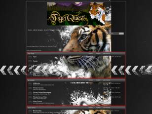 TigerQuest Fan Forum!