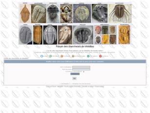 Forum des chercheurs de trilobites