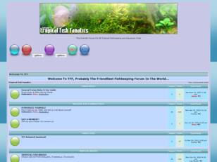 Tropical Fish Fanatics - The Friendly Forum