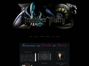 Harry Potter et compagnie au temps de Jedusor