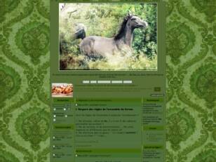 creer un forum : True Life of Horse