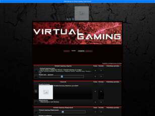 Virtual Gaming WEBSITE