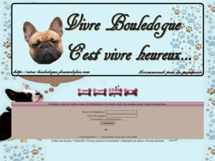 Vivre bouledogue