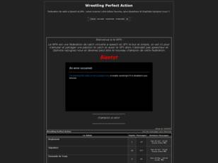 Wrestling Perfect Action