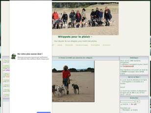 Whippets pour le plaisir