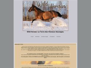 Wild Horses: La Terre des Chevaux Sauvages