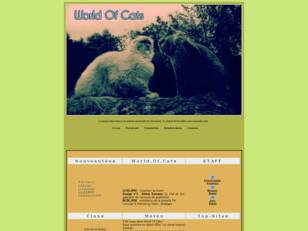 World Of Cats