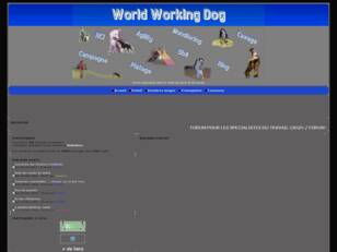 WORLD WORKING DOG