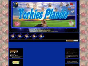 FORUM YORKIES PLANETE