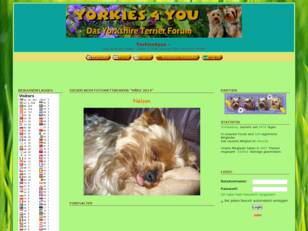 Yorkshire Terrier Forum - Yorkies4you
