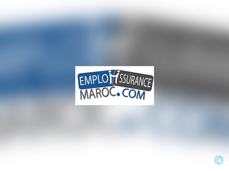 www.emploiassurancemaroc.com    1