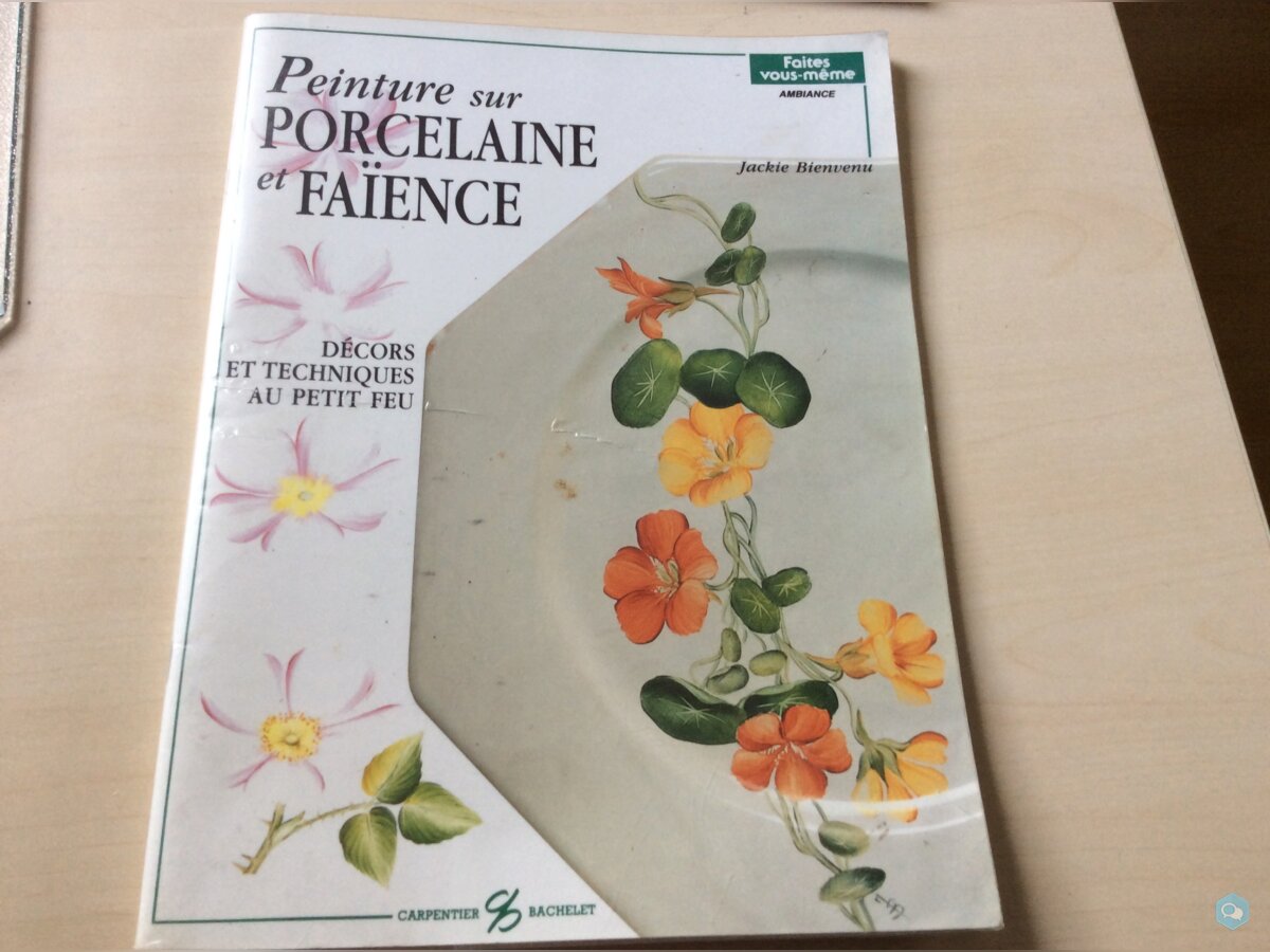 Livre peinture porcelaine 1