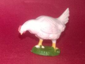 starlux poule