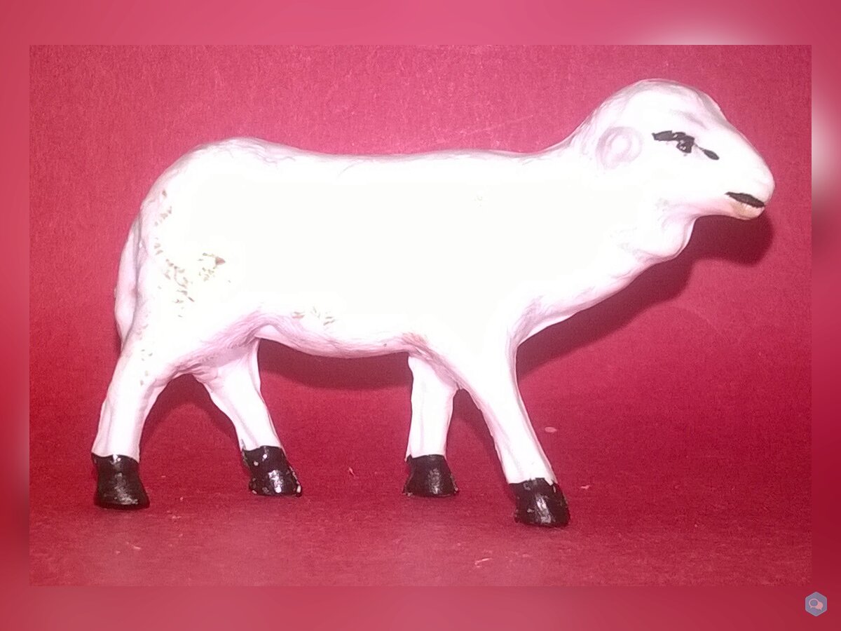    mouton   1