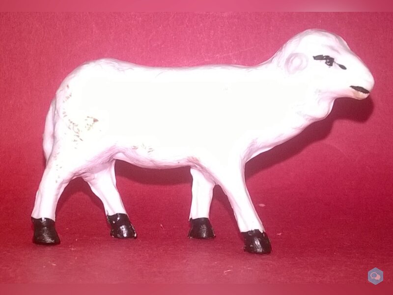    mouton   1