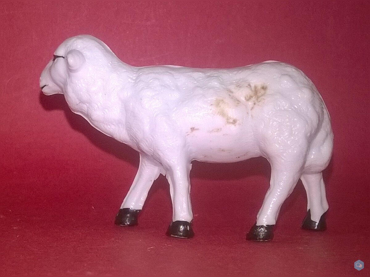    mouton   2