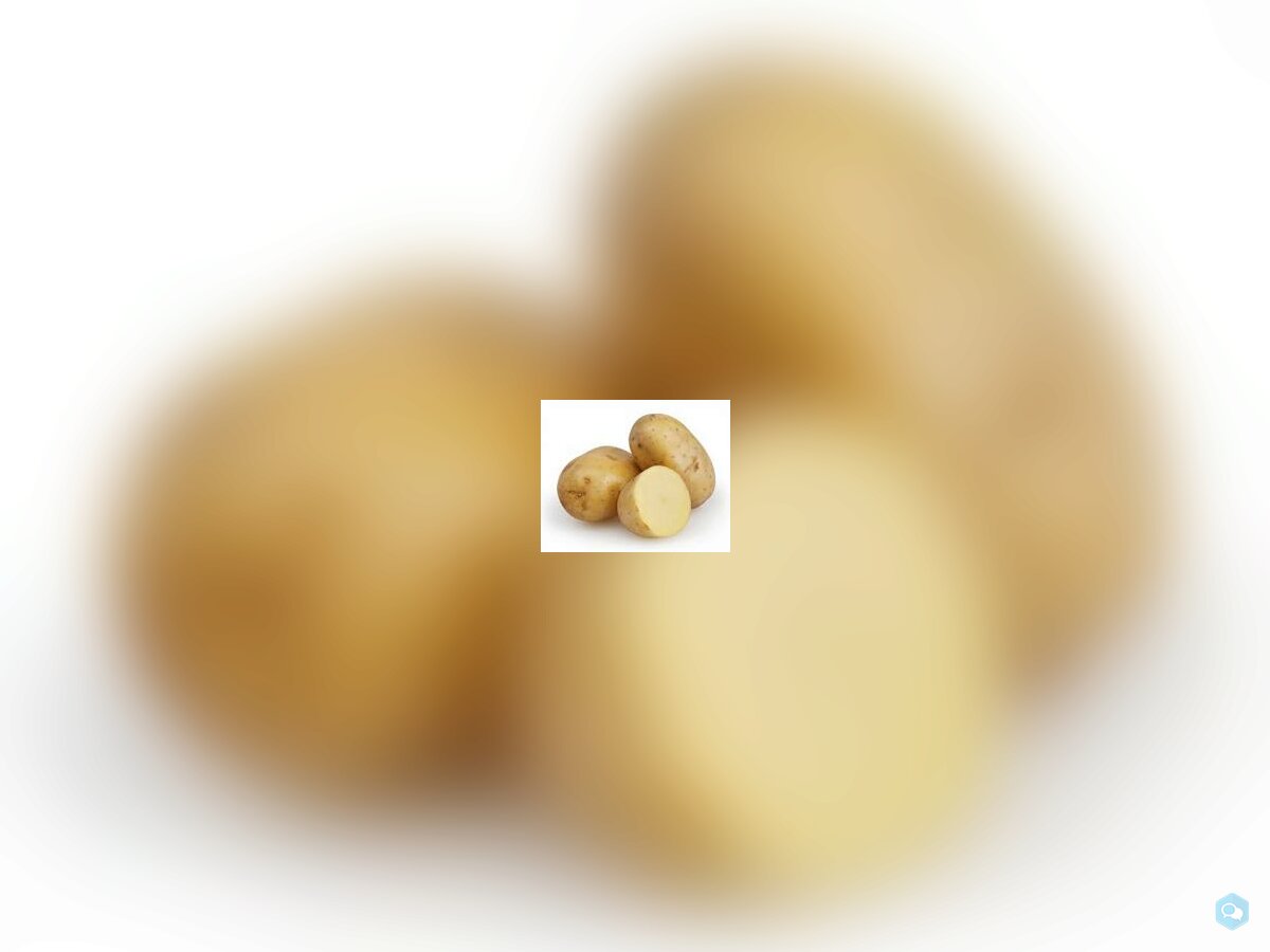 Des patates 1