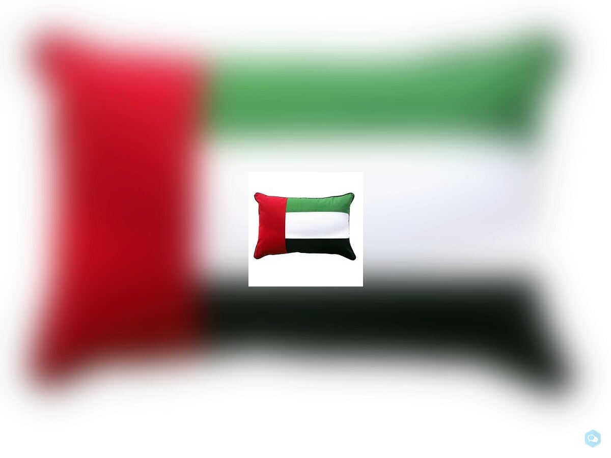 Flag Cushion 4