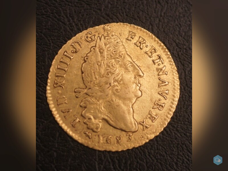 Ecu Or Louis XIV 1693 D 1