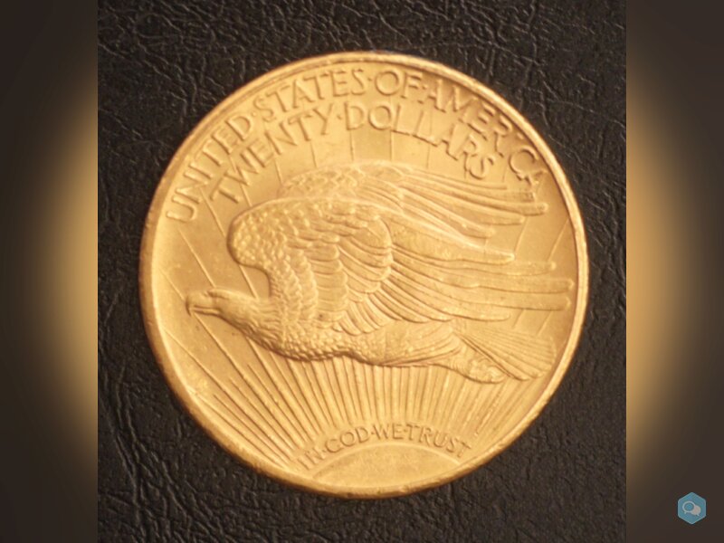 20 Dollars Or St Gudens 1924 2