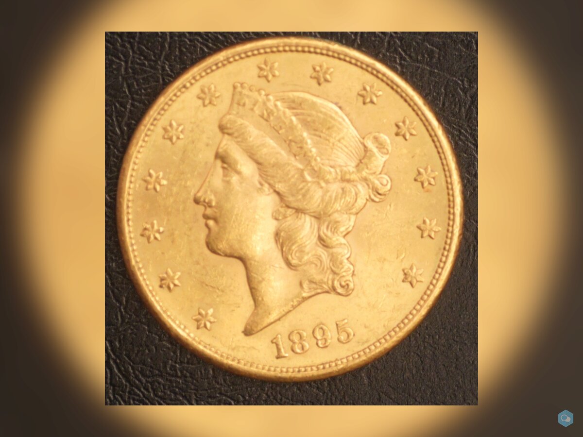 20 Dollars Or Liberty 1895 S 1