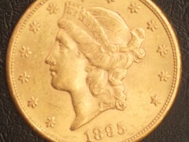 20 Dollars Or Liberty 1895 S