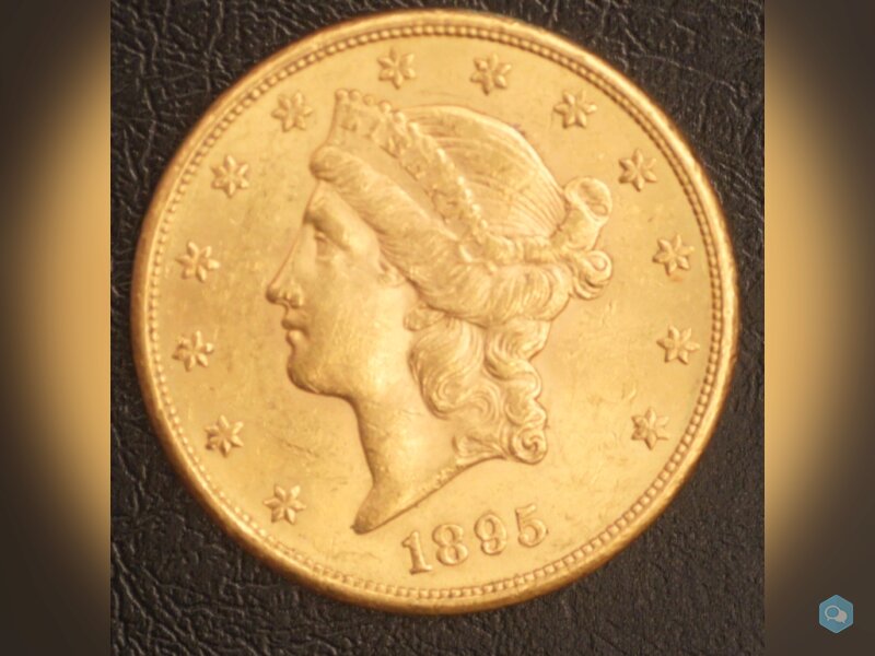 20 Dollars Or Liberty 1895 S 1