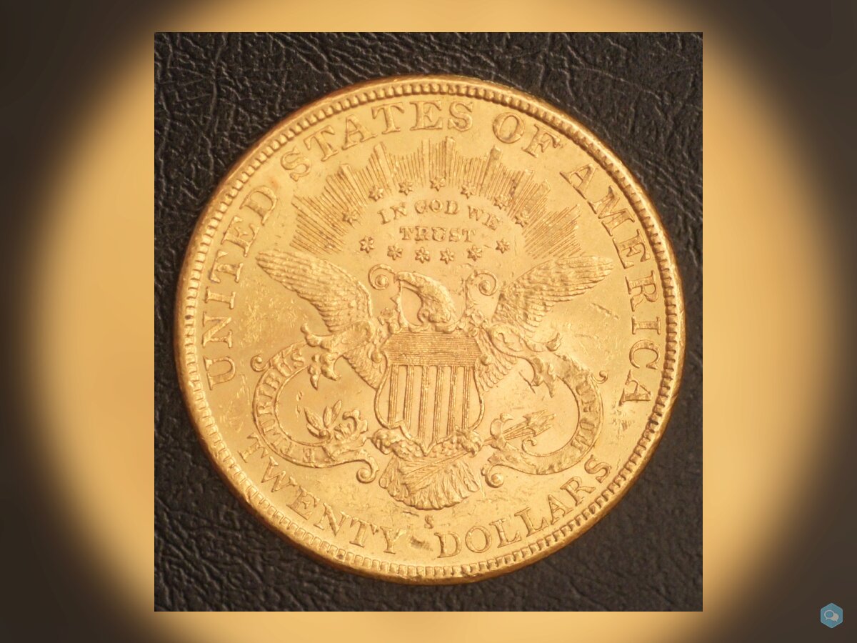 20 Dollars Or Liberty 1895 S 2