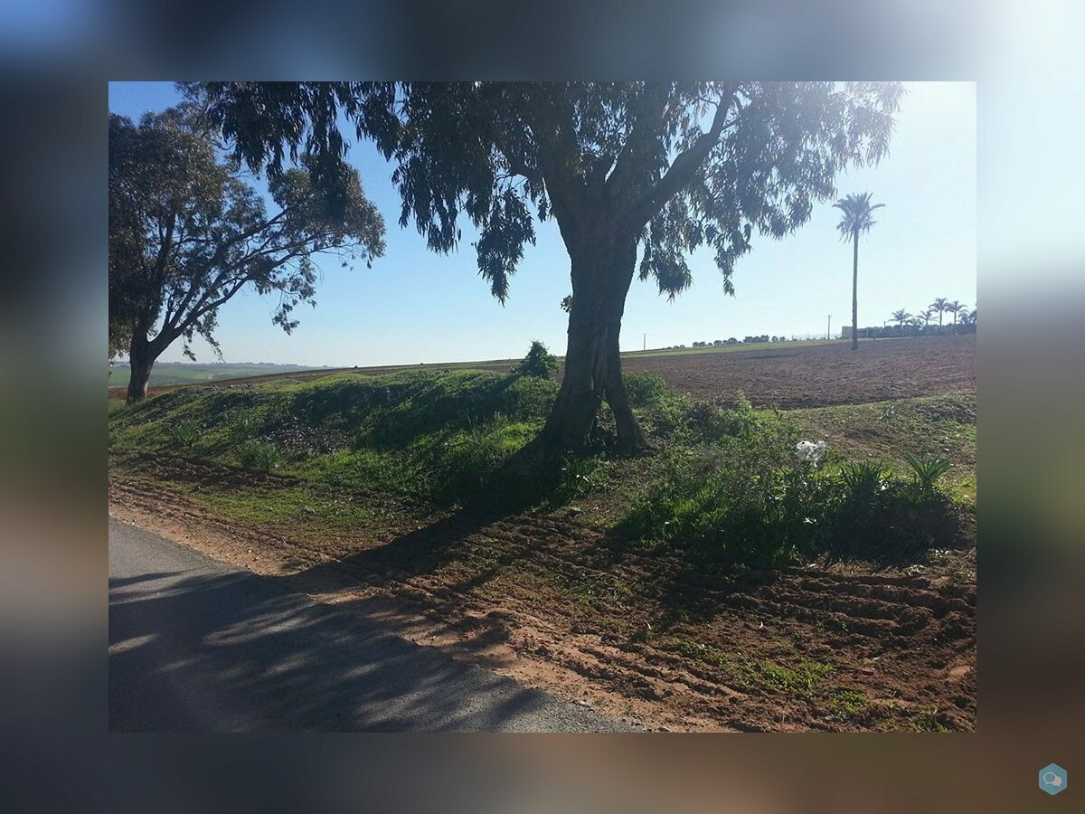 Terrain agricole de 18 hectares à El Jadida 1