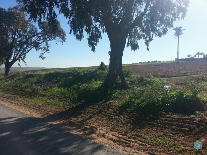 Terrain agricole de 18 hectares à El Jadida 1