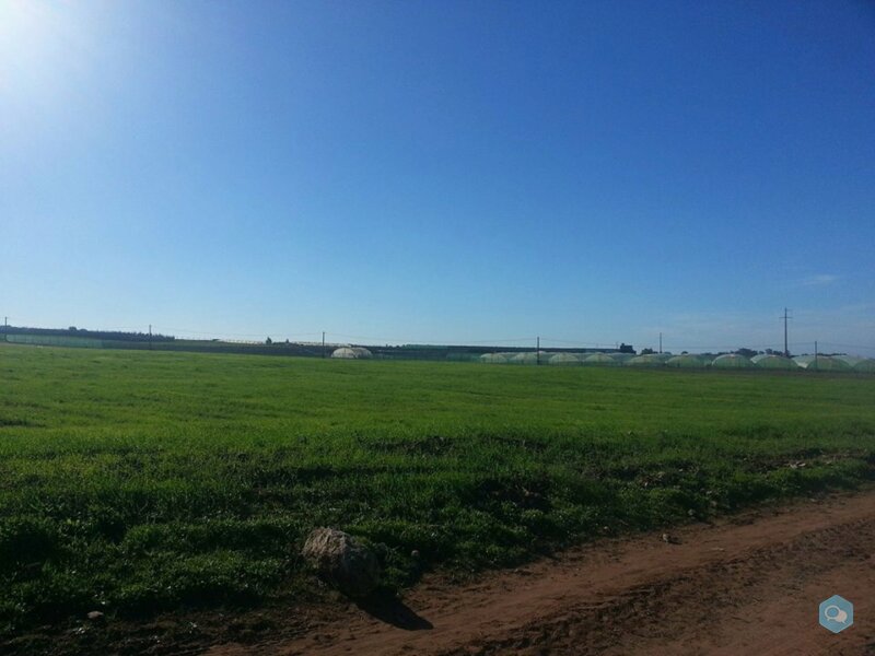 Terrain agricole de 18 hectares à El Jadida 2
