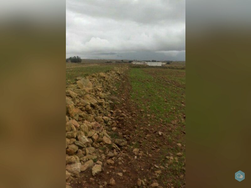 Terrain 8000 m2 près d'autoroute région El Jadida  1