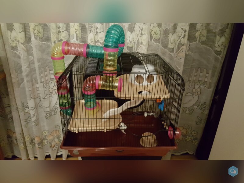 Vend cage pour Hamster  (Nice 06100) 1