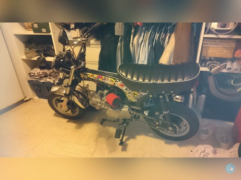 Dax 140 yx cg 50cc 1