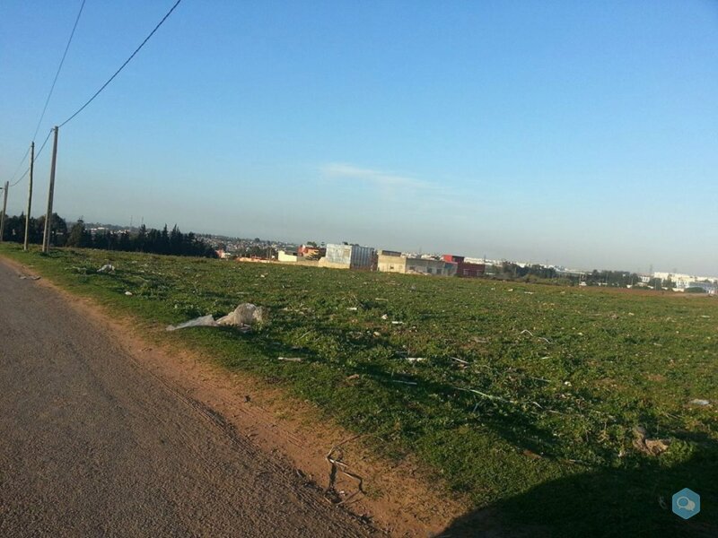 Terrain de 3 hectares près de Green Town 1