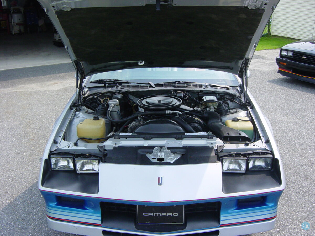 Camaro Pace car 1982 4