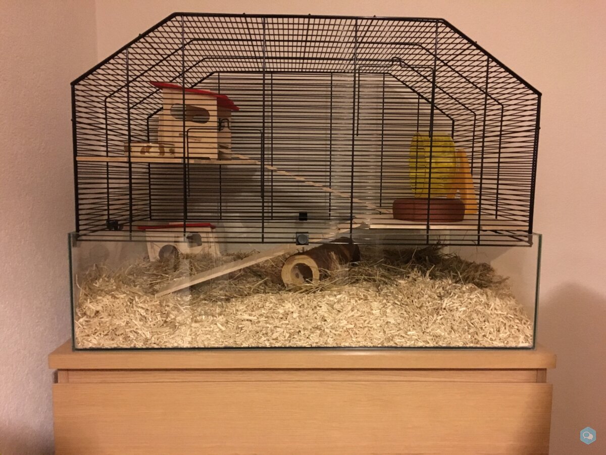 Cage pour hamster nain, souris, etc 1