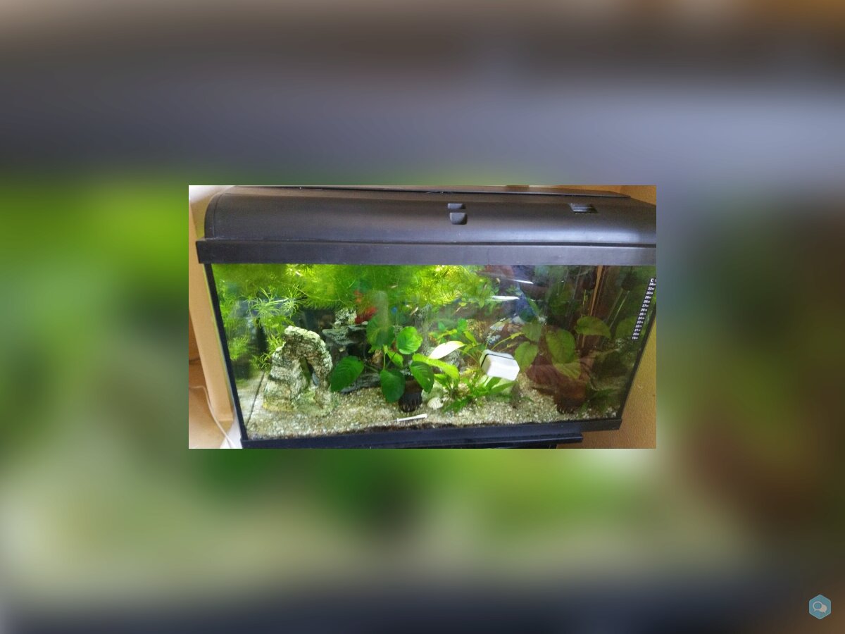 Acuario de 100 litros y mueble 1