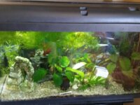 Acuario de 100 litros y mueble 1